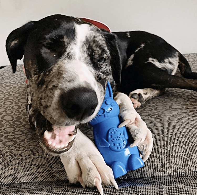 Load image into Gallery viewer, Bunny Nylon Chew Toy for Aggressive Chewers | Durable & USA Made