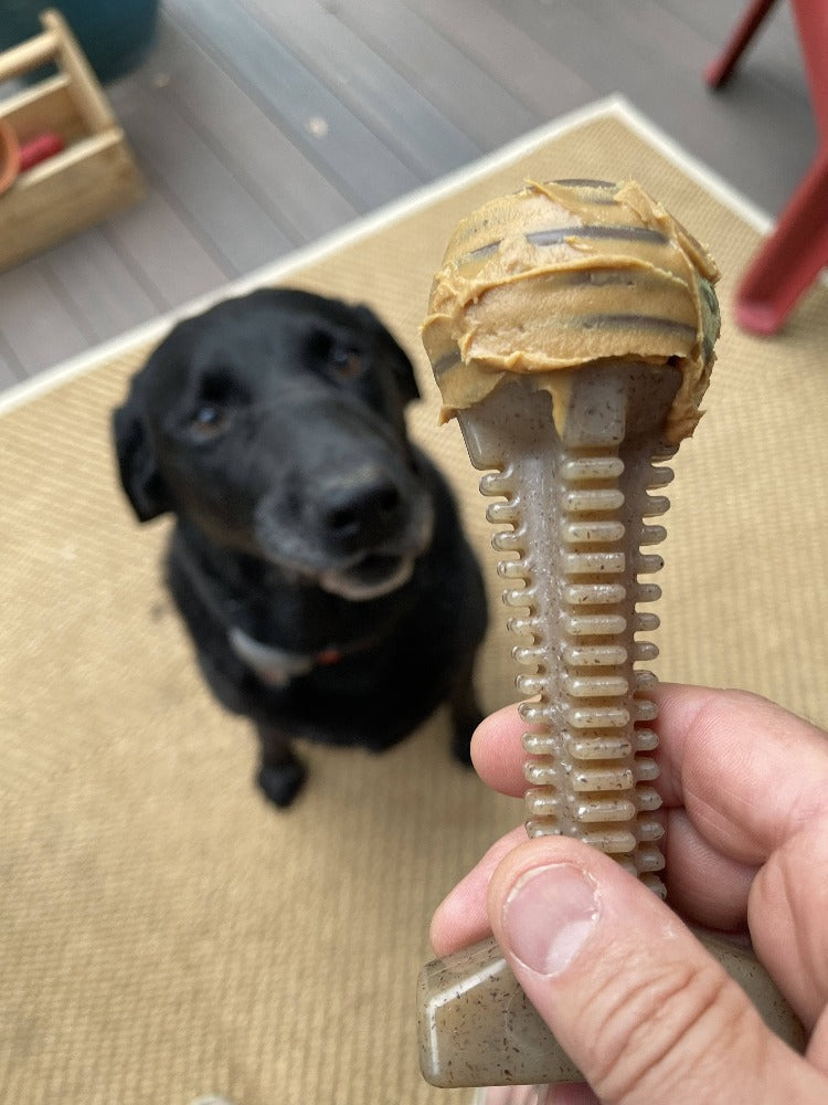Load image into Gallery viewer, Honey Bone Dental Tower Nylon Chew Toy for Aggressive Chewers | USA Made