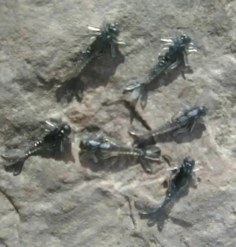 Load image into Gallery viewer, Custom 1.2" Soft Mayfly Nymphs