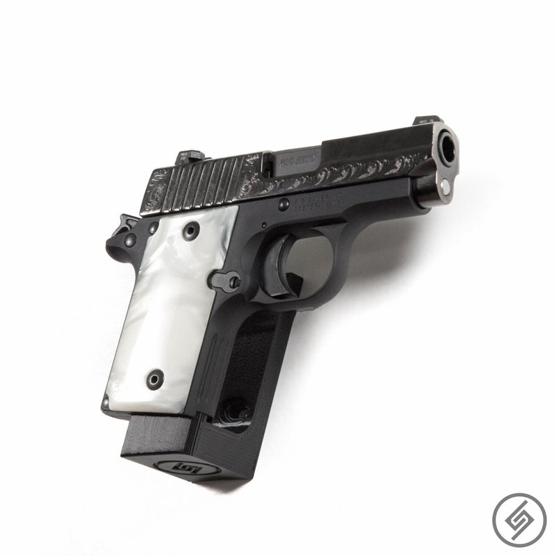 Load image into Gallery viewer, Springfield 911 .380 Pistol Wall Storage Hook