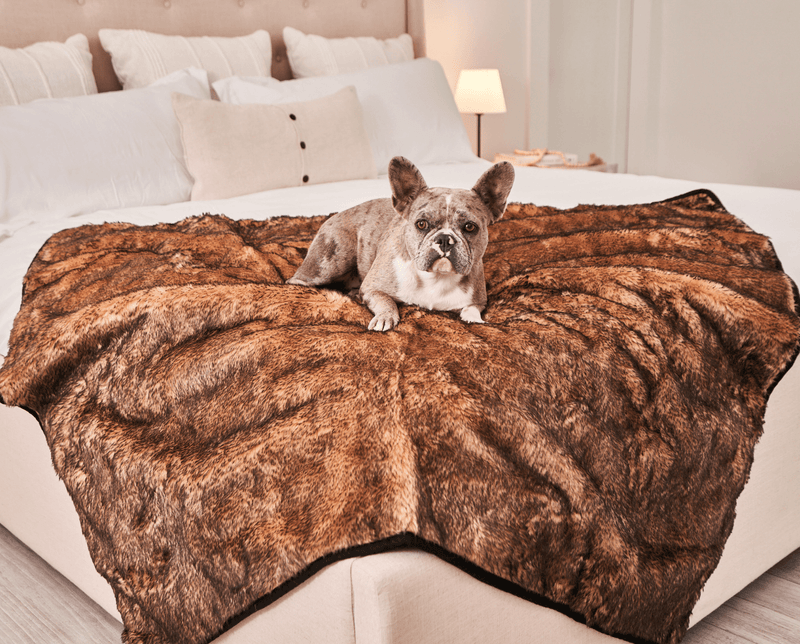 Load image into Gallery viewer, PupProtector™ Summer Short Fur Waterproof Throw Blanket - Sable Tan