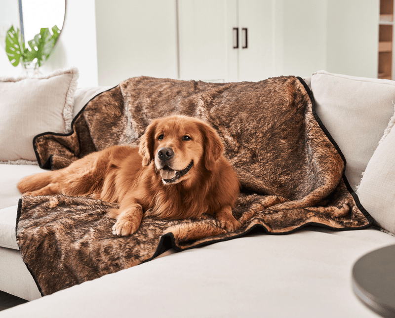 Load image into Gallery viewer, PupProtector™ Summer Short Fur Waterproof Throw Blanket - Sable Tan