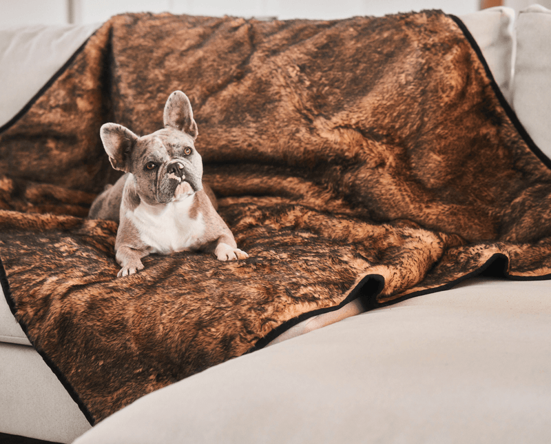 Load image into Gallery viewer, PupProtector™ Summer Short Fur Waterproof Throw Blanket - Sable Tan