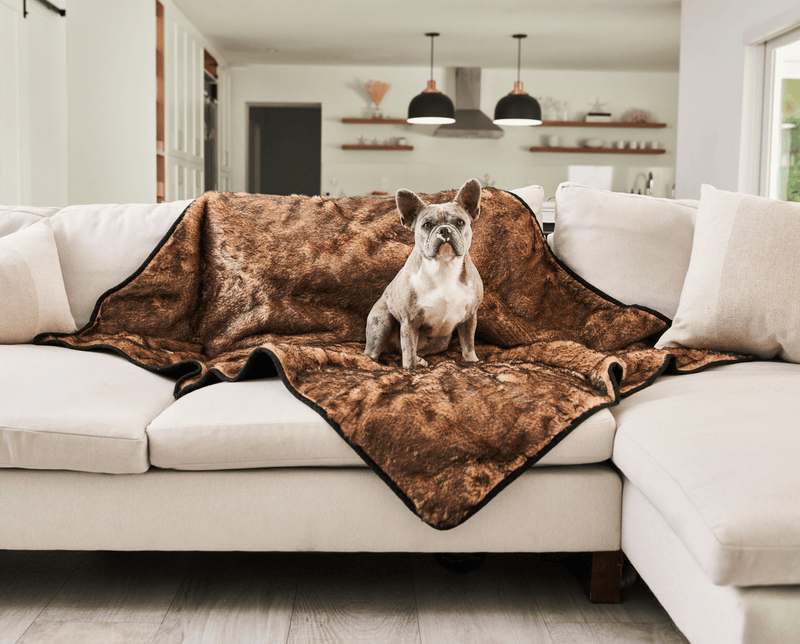 Load image into Gallery viewer, PupProtector™ Summer Short Fur Waterproof Throw Blanket - Sable Tan