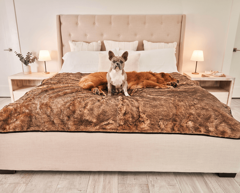 Load image into Gallery viewer, PupProtector™ Summer Short Fur Waterproof Throw Blanket - Sable Tan