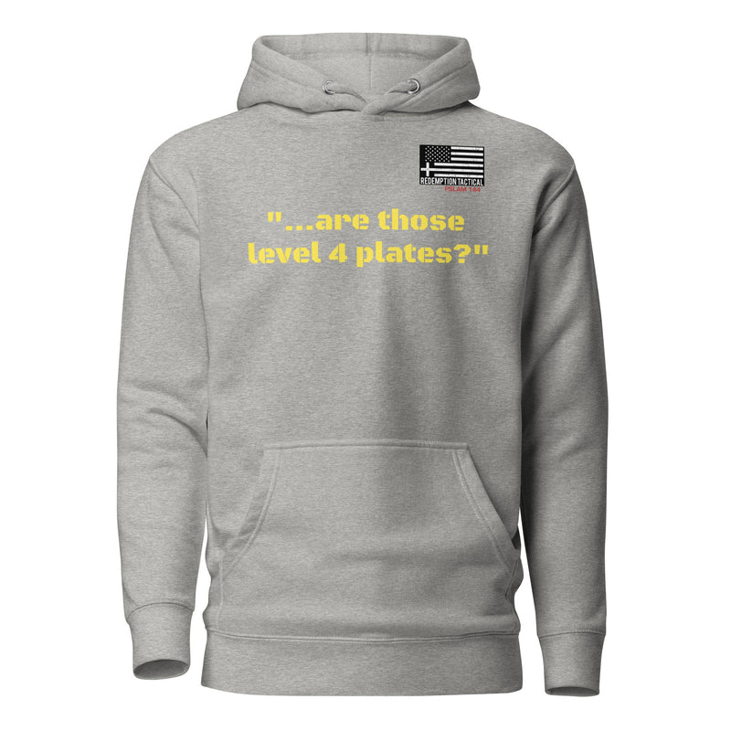 Load image into Gallery viewer, Are those Level IV plates Hoodie