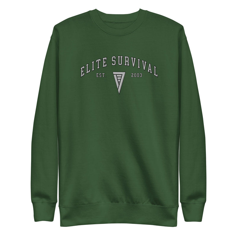 Load image into Gallery viewer, Unisex Embroidered Sweatshirt