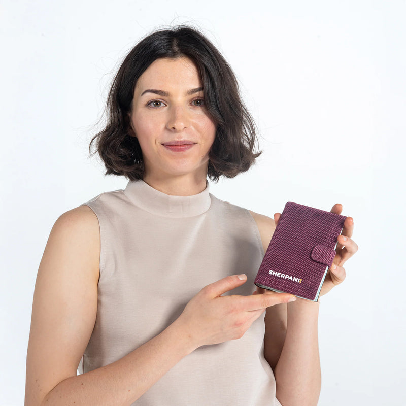 Load image into Gallery viewer, Vienna AT | Passport Wallet - Granite Grey