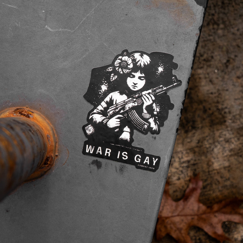 Load image into Gallery viewer, War Is Gay Decal