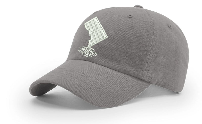 Load image into Gallery viewer, Washington DC Dad Hat