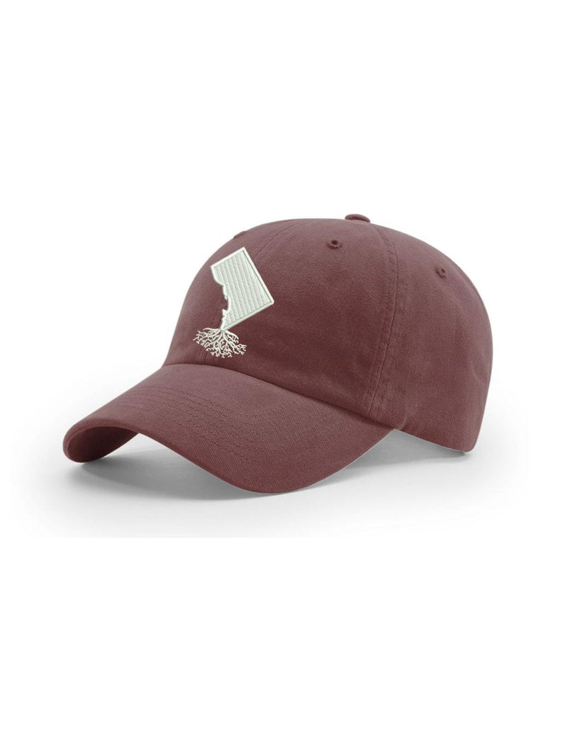 Load image into Gallery viewer, Washington DC Dad Hat