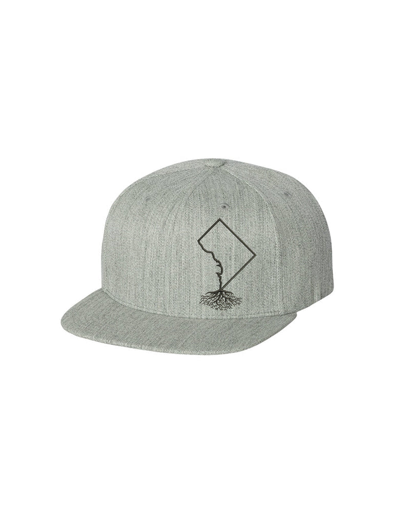 Load image into Gallery viewer, Washington DC FlexFit Snapback