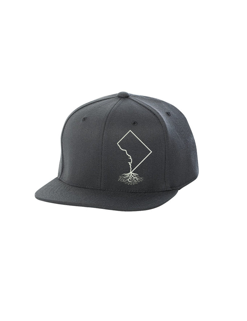 Load image into Gallery viewer, Washington DC FlexFit Snapback