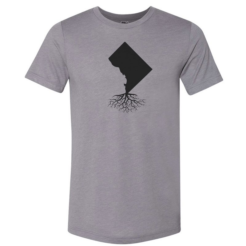 Load image into Gallery viewer, Washington DC Men's Crewneck Tee