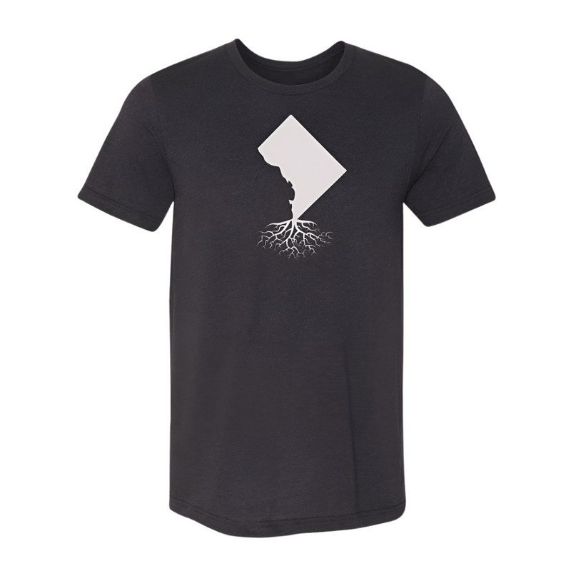 Load image into Gallery viewer, Washington DC Men's Crewneck Tee