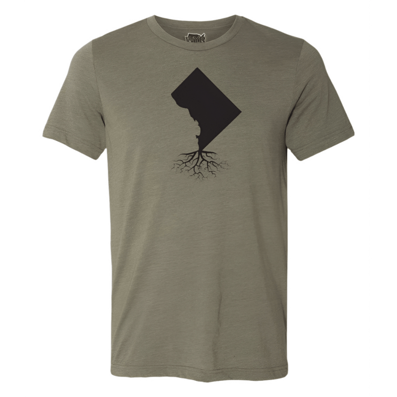 Load image into Gallery viewer, Washington DC Men's Crewneck Tee