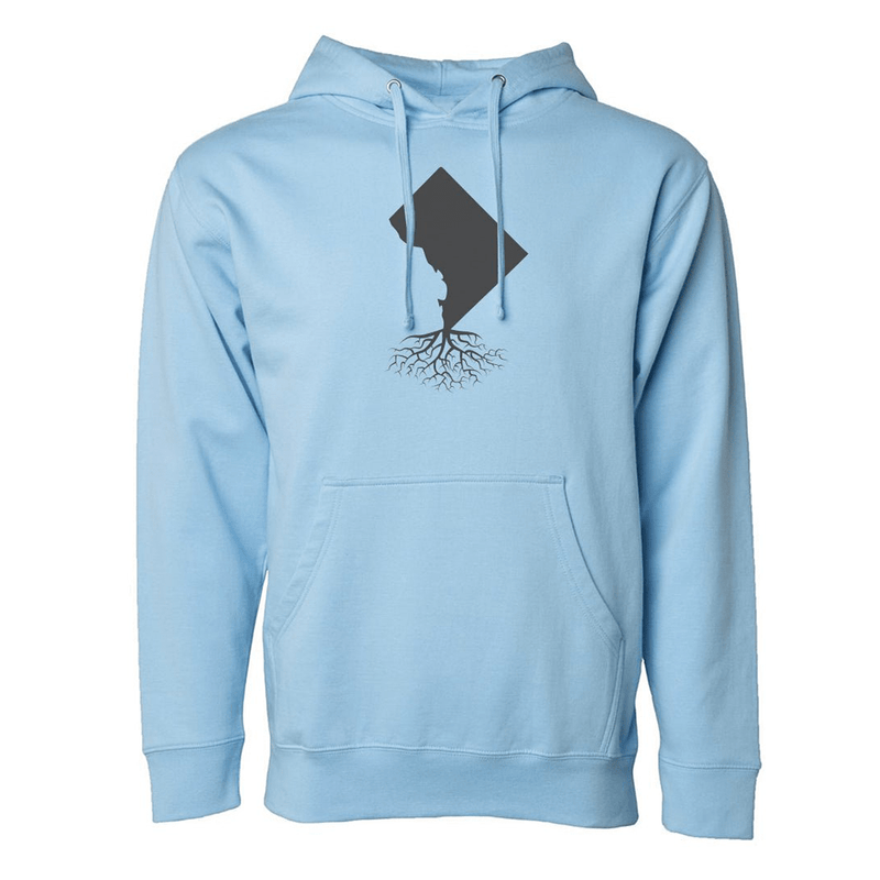 Load image into Gallery viewer, Washington DC Mid-Weight Pullover Hoodie