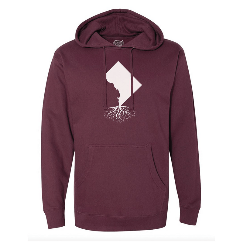 Load image into Gallery viewer, Washington DC Mid-Weight Pullover Hoodie