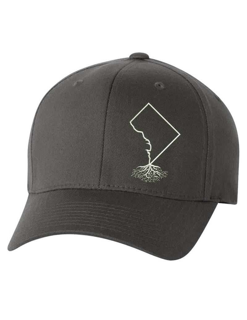 Load image into Gallery viewer, Washington DC Roots Structured Flexfit Hat
