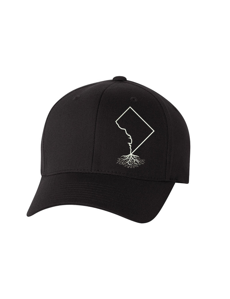 Load image into Gallery viewer, Washington DC Roots Structured Flexfit Hat