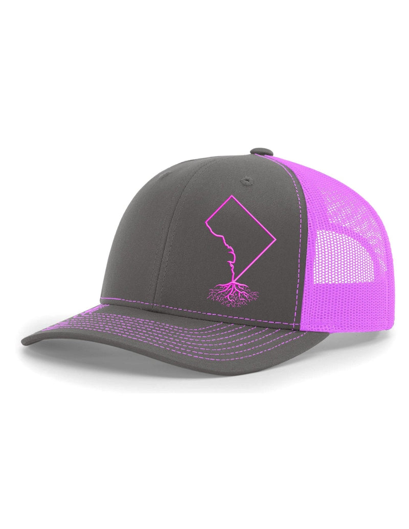 Load image into Gallery viewer, Washington DC Snapback Trucker