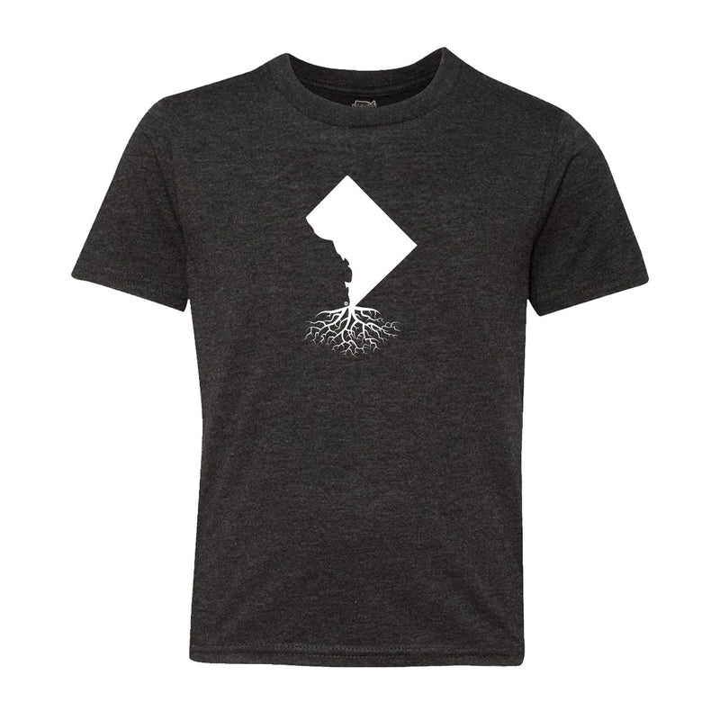Load image into Gallery viewer, Washington DC Youth Crewneck Tee