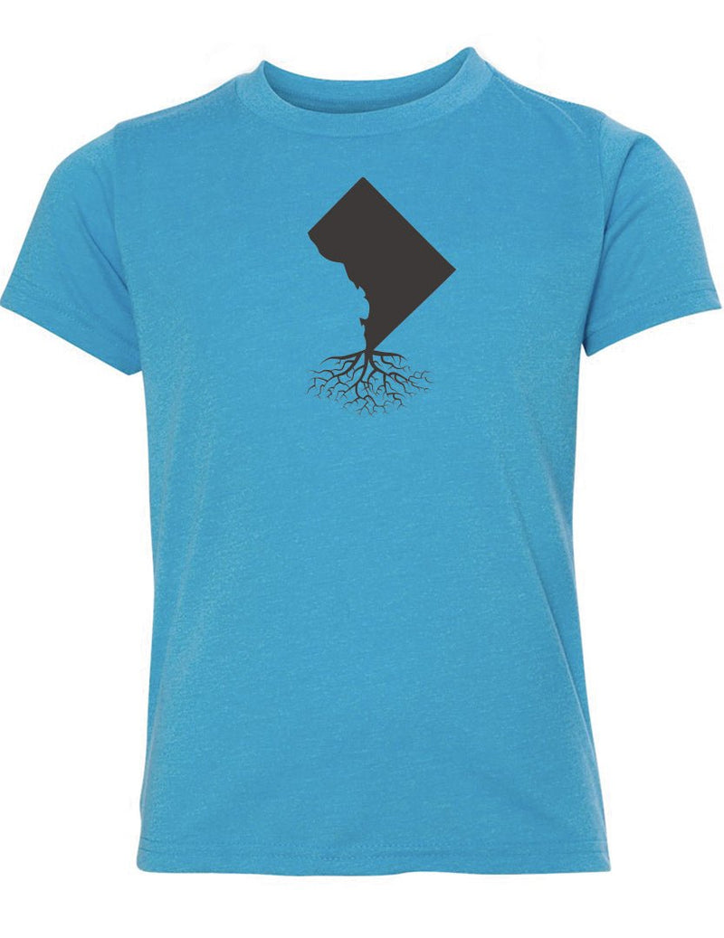 Load image into Gallery viewer, Washington DC Youth Crewneck Tee