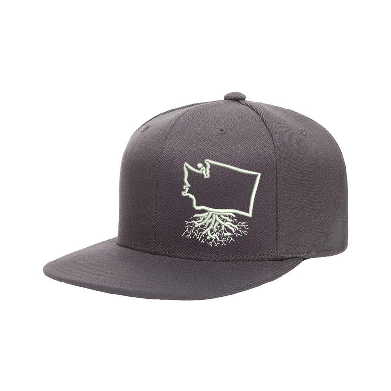 Load image into Gallery viewer, Washington FlexFit Snapback