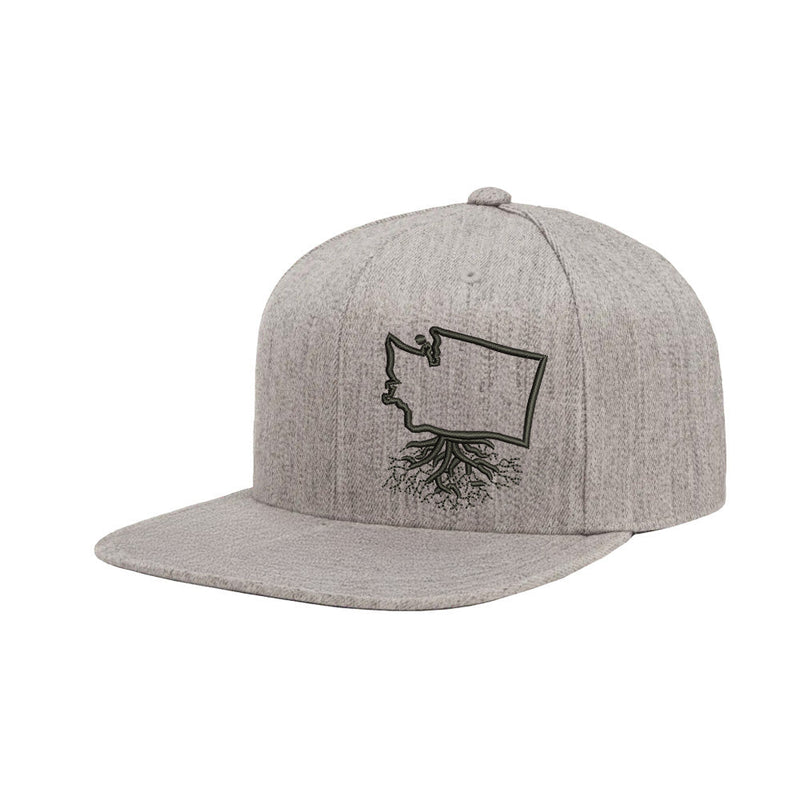 Load image into Gallery viewer, Washington FlexFit Snapback