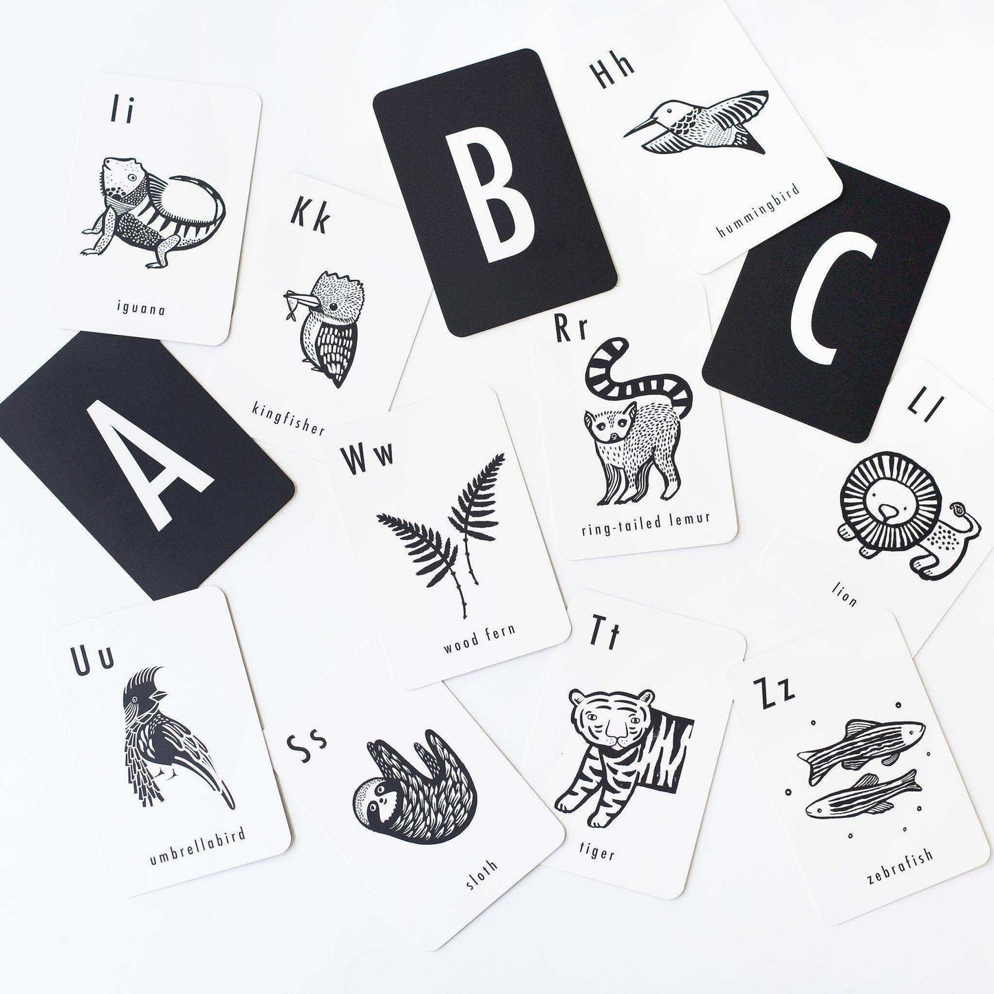 Jungle Alphabet Cards - Skoutley Outdoors LLC