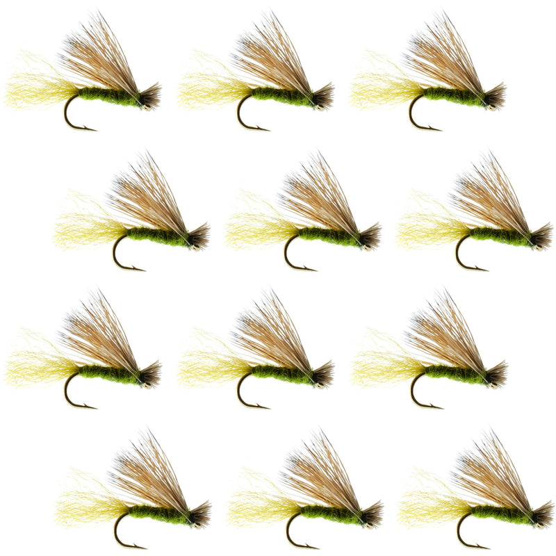 Load image into Gallery viewer, Olive X Caddis Emerging Caddis Adult Trout Dry Fly - 1 Dozen Flies Hook Size 18