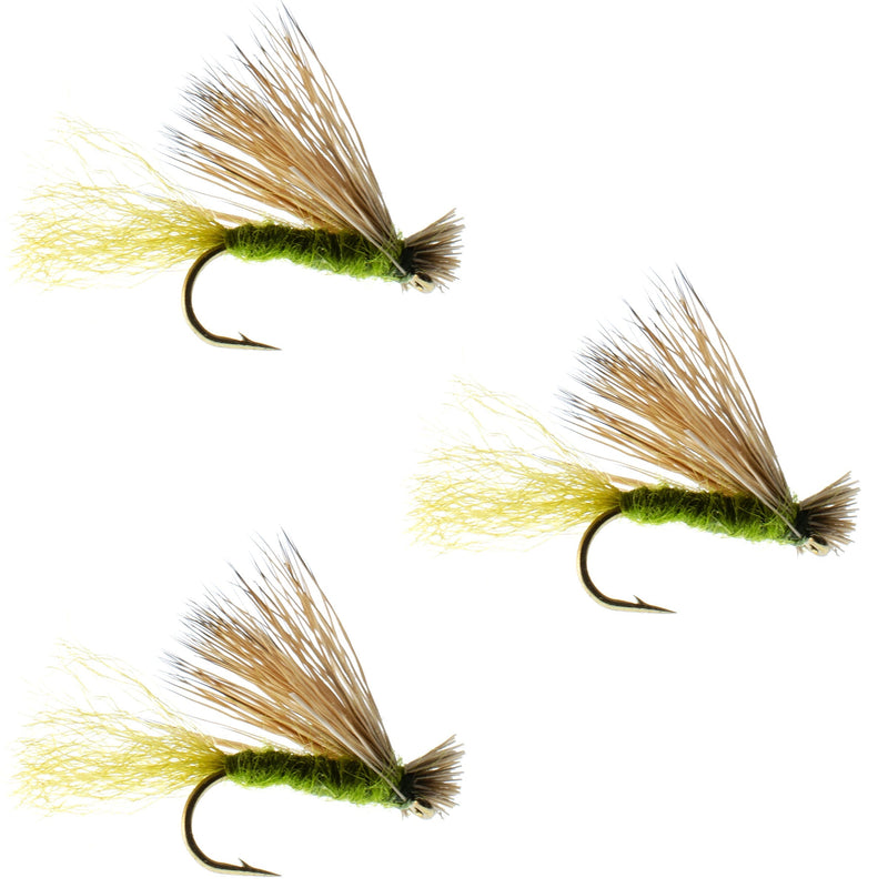 Load image into Gallery viewer, 3 Pack Olive X Caddis Emerging Caddis Adult Trout Dry Fly - Hook Size 16