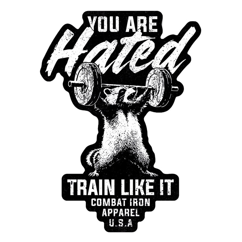 Load image into Gallery viewer, You Are Hated Train Like It Decal
