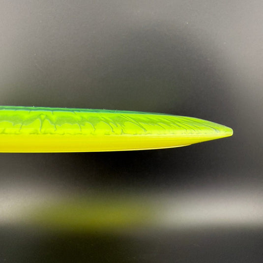 I-Dye Champion SL (Starfire-L) - Penned Run - F2
