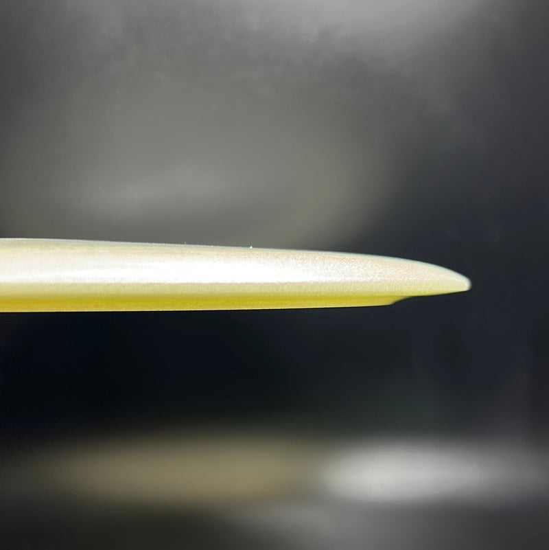 Load image into Gallery viewer, Champion Glow Tern
