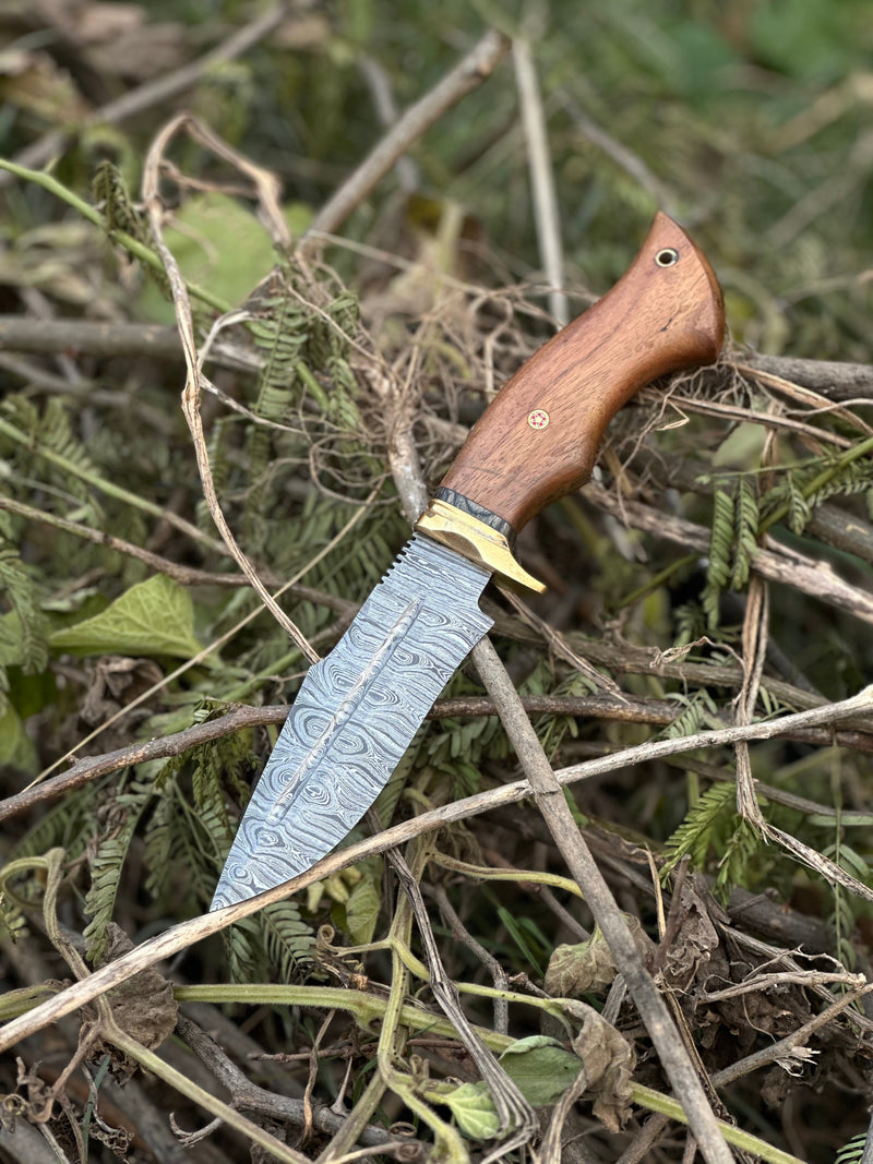 Load image into Gallery viewer, Hunting Blade – 10" Damascus Steel Knife with Rosewood Handle, Brass Guard &amp; Leather Sheath
