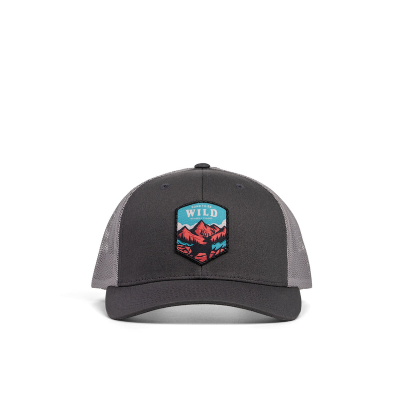 Load image into Gallery viewer, Born To Be Wild Patch Hat

