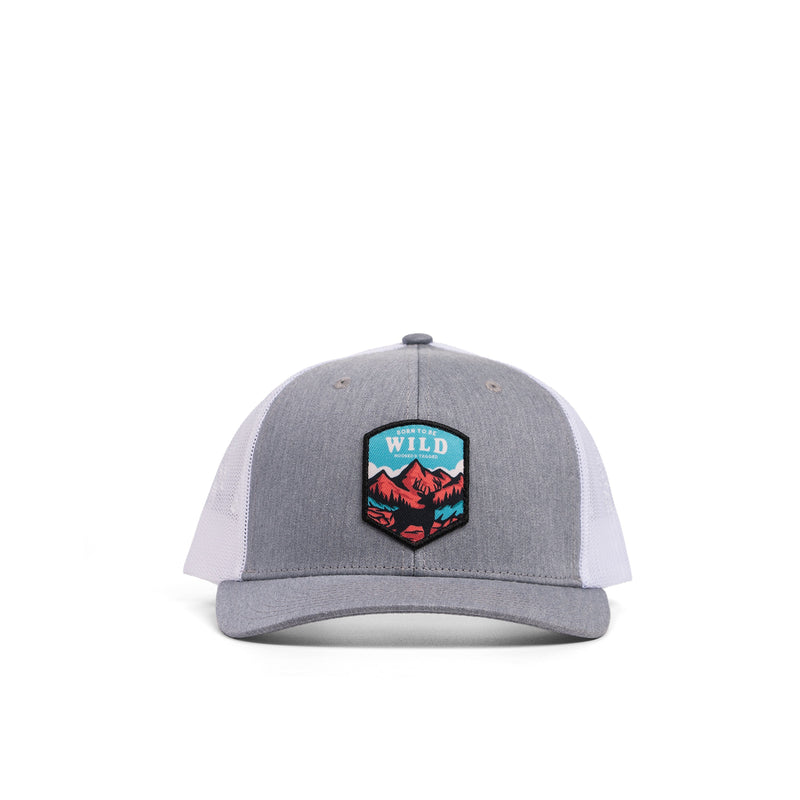 Load image into Gallery viewer, Born To Be Wild Patch Hat
