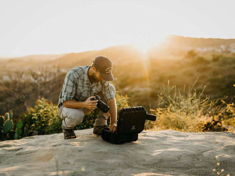 Load image into Gallery viewer, Seahorse 430
