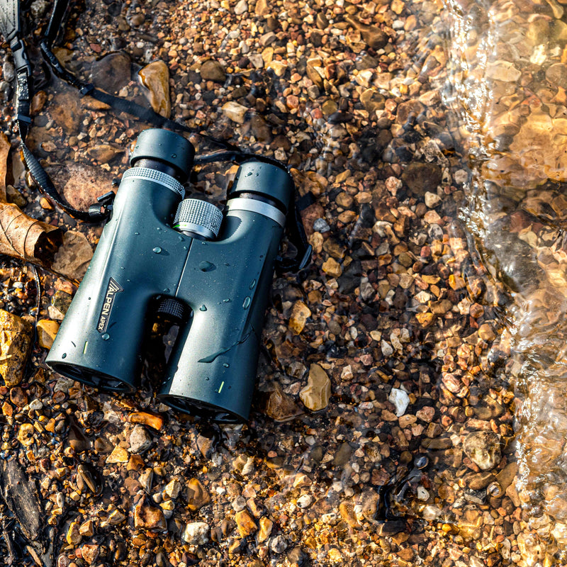 Load image into Gallery viewer, Apex 10x50 Binoculars
