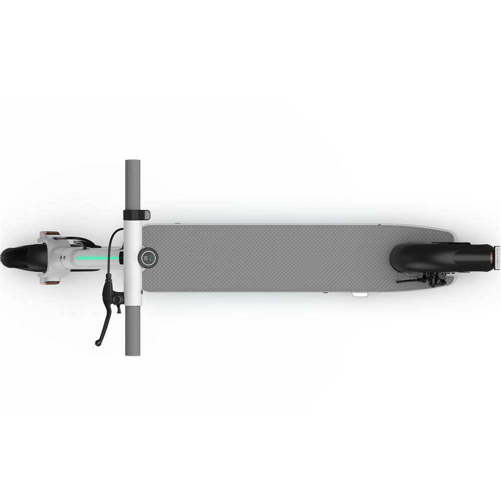 Okai Neon 36v 250w Lithium Electric Scooter White - Skoutley Outdoors LLC