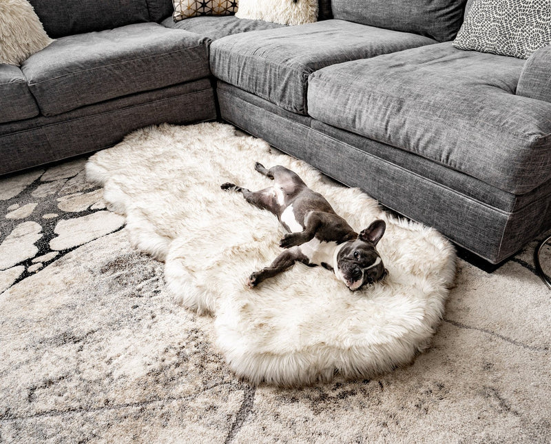 Load image into Gallery viewer, PupRug® Runner Faux Fur Memory Foam Dog Bed - Curve White with Brown Accents
