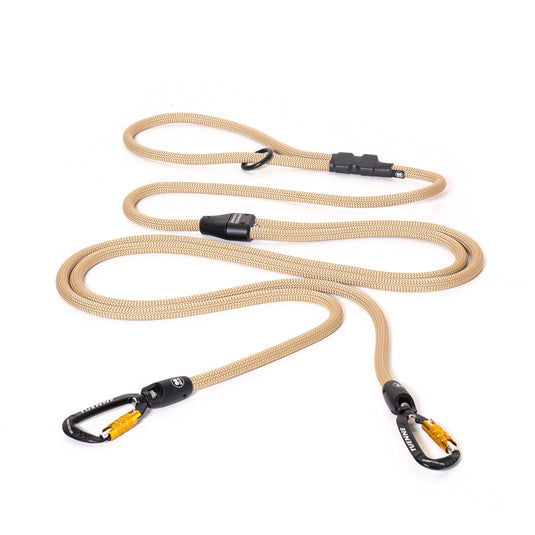 2-in-1 Game Changer Dog Leash