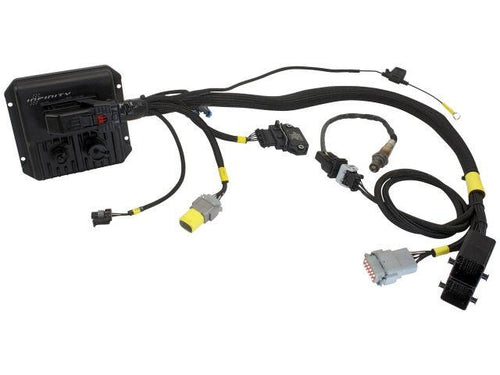 AEM Electronics Engine Control Module Wiring Harness