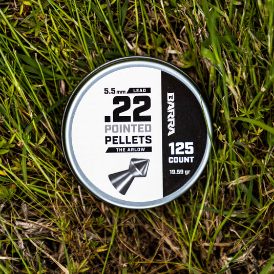 Arlow Pointed Tip .22 Caliber Pellets - 125 Count