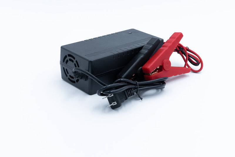 Load image into Gallery viewer, 12v 10a Non Waterproof LiFePO4 Charger
