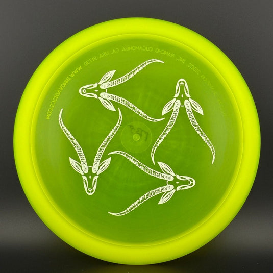 Champion Gazelle - Artist's Corner
