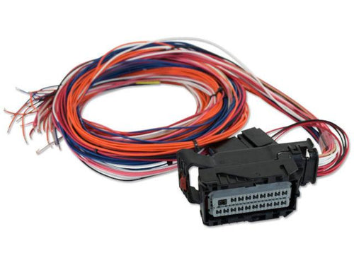 AEM Electronics Fuel Management Wiring Harness