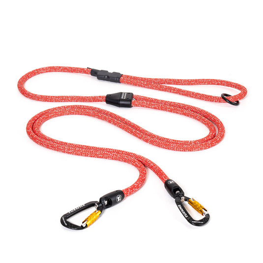 2-in-1 Game Changer Dog Leash