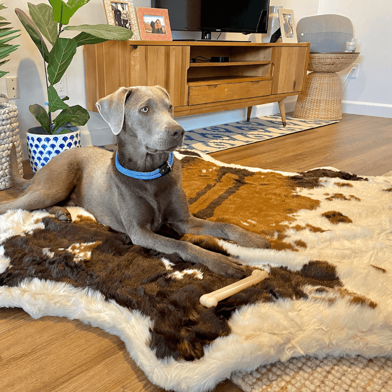 Load image into Gallery viewer, PupRug® Animal Print Memory Foam Dog Bed - Brown Faux Cowhide
